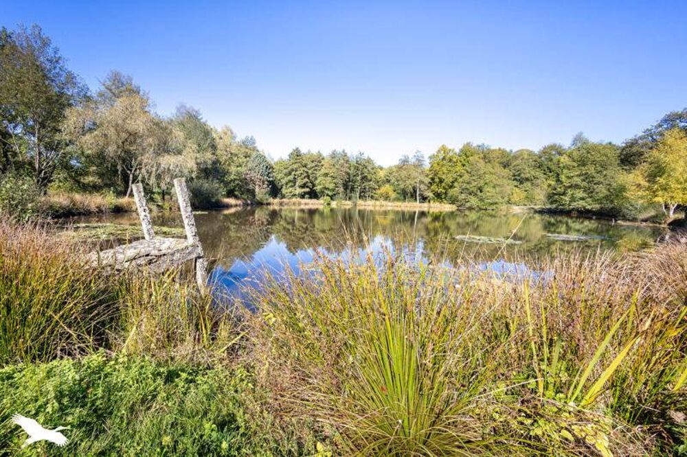  vendre  Maison La Chapelle-Montbrandeix (87440)