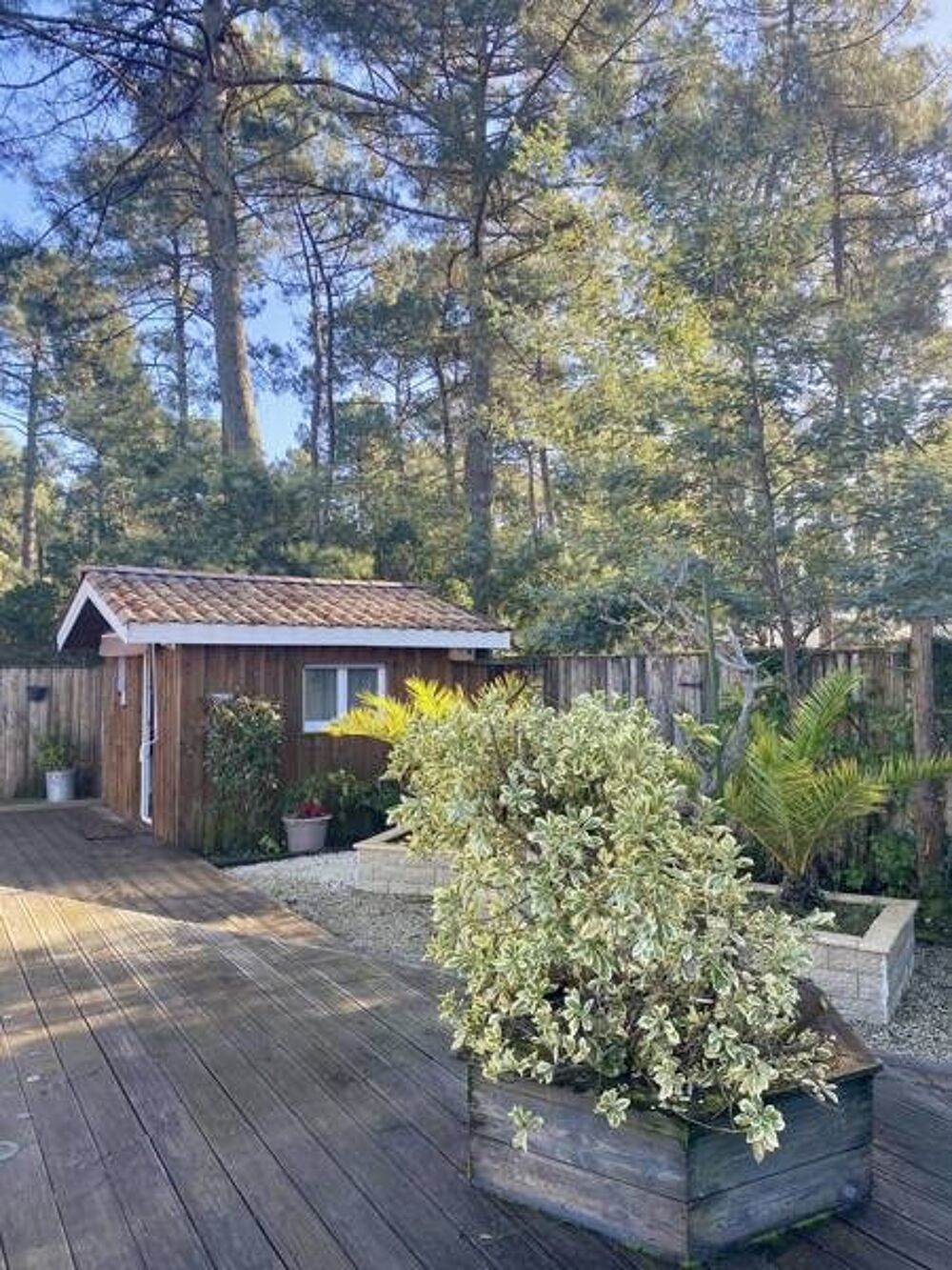  vendre  Maison Lge-Cap-Ferret (33950)