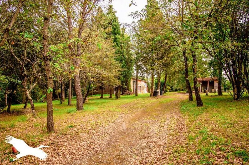  vendre  Maison Villefranche-de-Lauragais (31290)