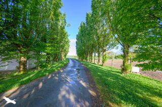  Maison  vendre 9 pices 390 m