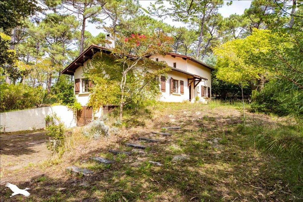  vendre  Maison Lge-Cap-Ferret (33950)