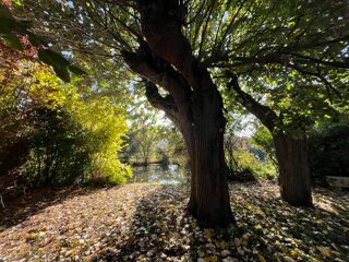  Maison  vendre 11 pices 222 m