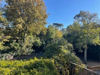  Appartement  vendre 3 pices 50 m