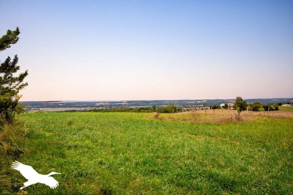  vendre  Maison Villefranche-de-Lauragais (31290)