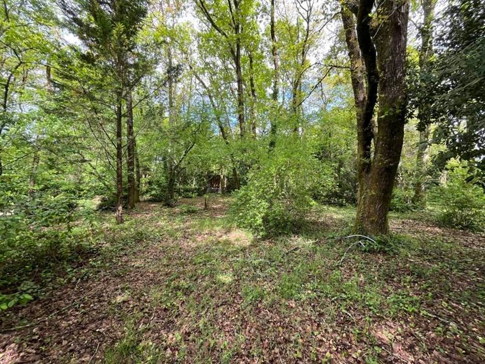  vendre  Maison Martignas-sur-Jalle (33127)