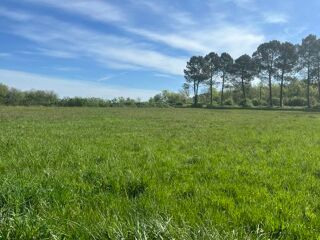  Maison  vendre 6 pices 162 m