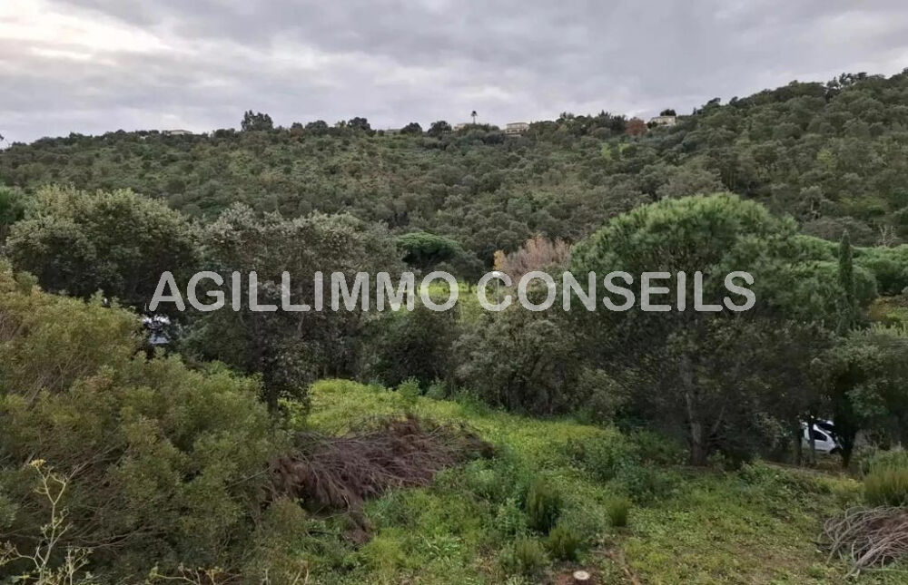 Vente Terrain Terrain constructible 1550 m2 Les issambres