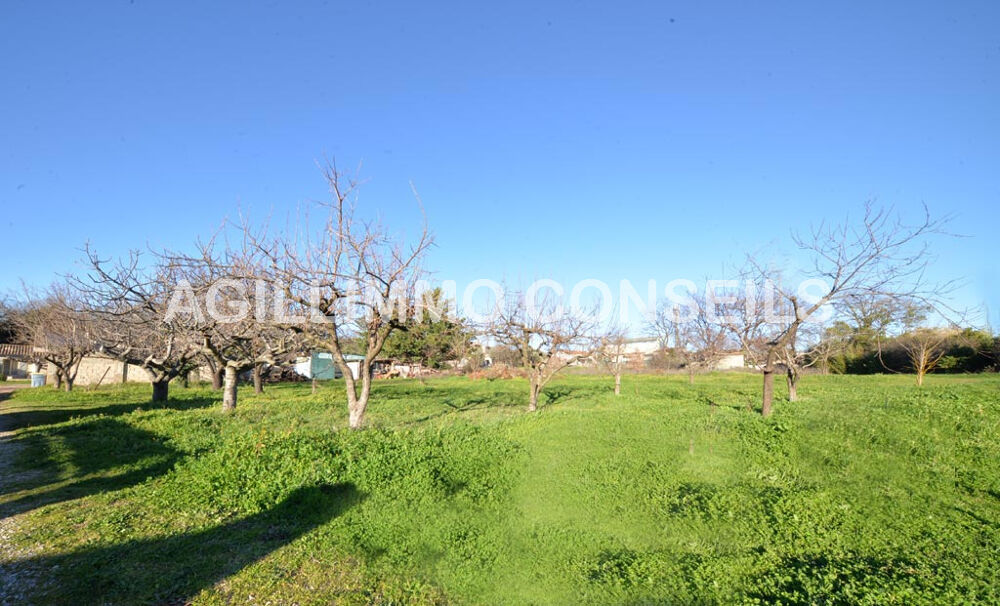 Vente Terrain Terrain plat 544m2 Puget sur argens