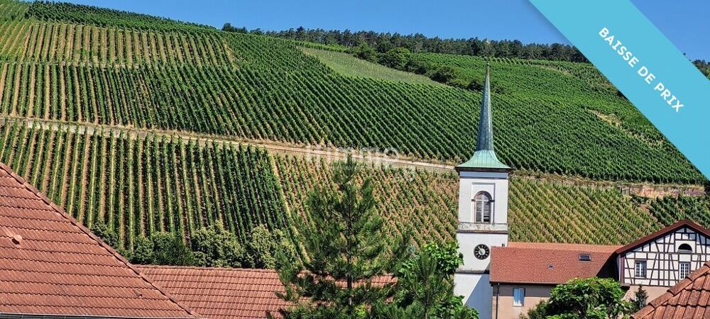 � vendre  Maison Barr (67140)