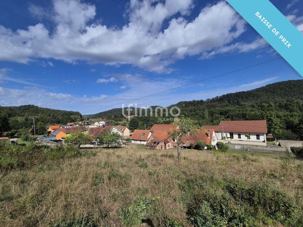 Vente Maison Maison à rénover de 109.79 m2 habitables à Baerenthal. Baerenthal