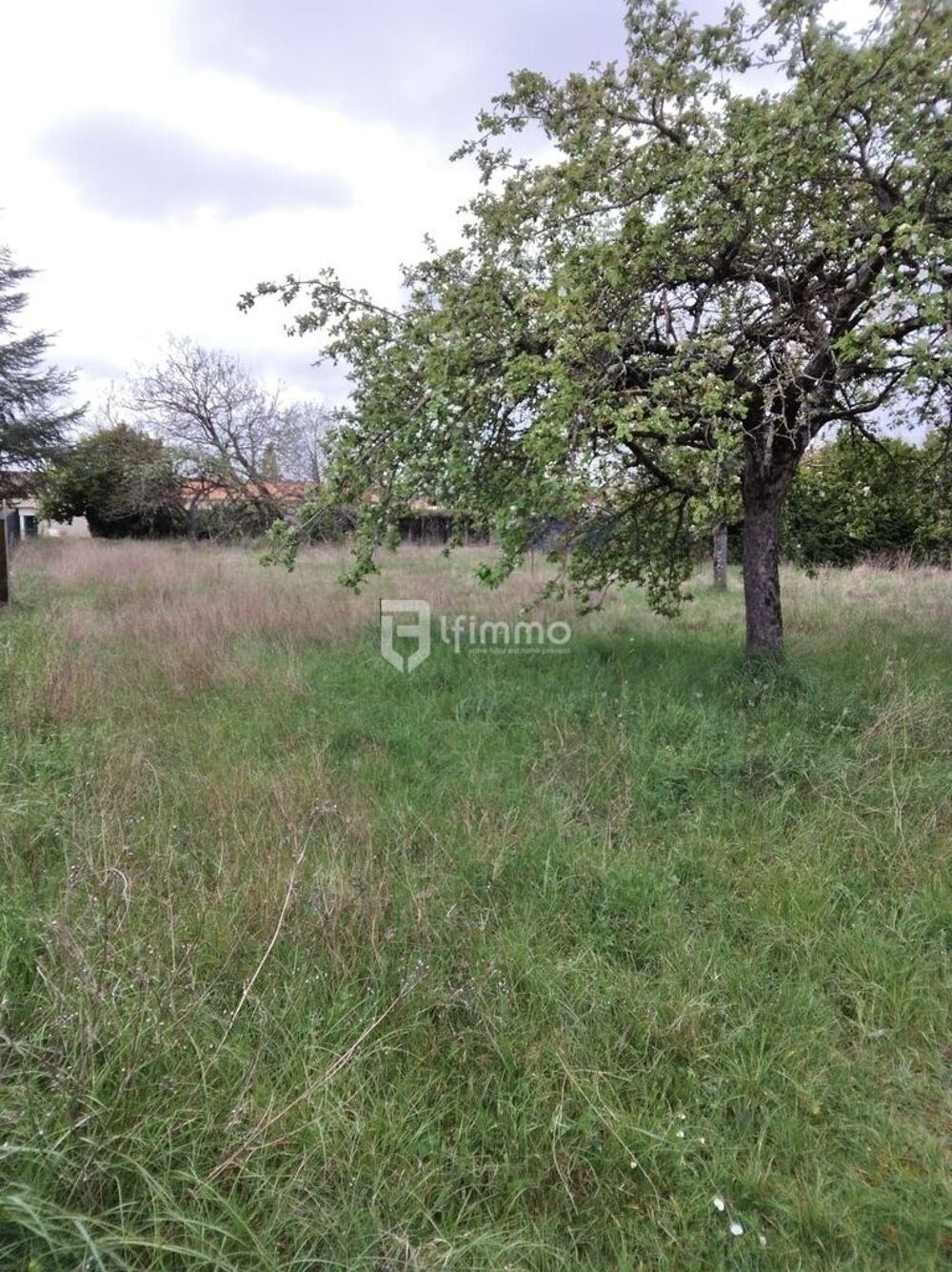 Vente Terrain Terrain constructible Isle d'espagnac