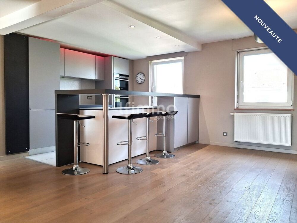 Vente Appartement Duplex 119m² Carrez-142m² au sol dernier étage cave garage Strasbourg