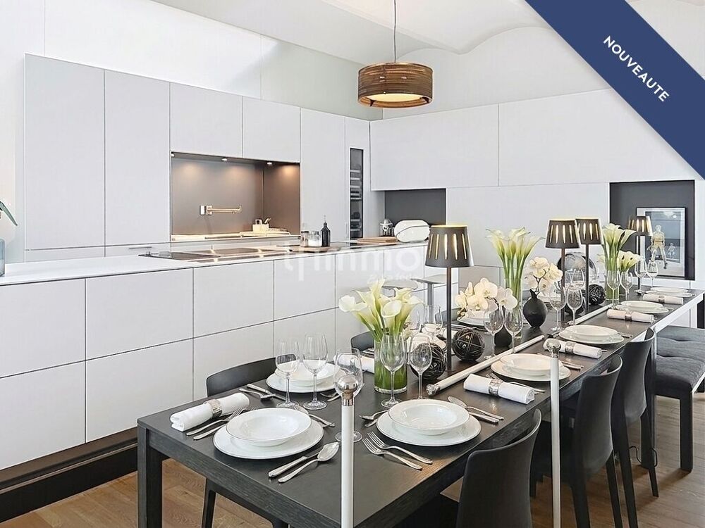 Vente Appartement Duplex & appartement indépendant Strasbourg