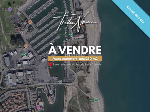 Murs commerciaux - 250 m2 - Saint Cyprien Zone technique du Port 375000 66750 Saint cyprien