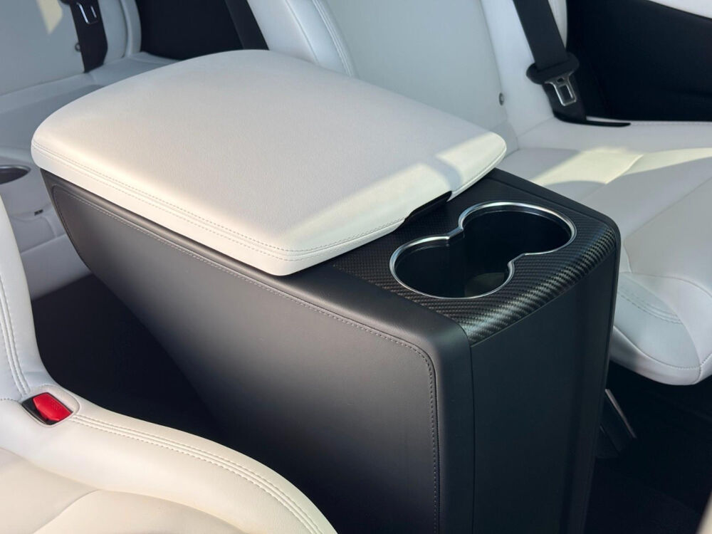 Model X MODEL X 100D - Dual Motor 2018 occasion 85600 Montaigu