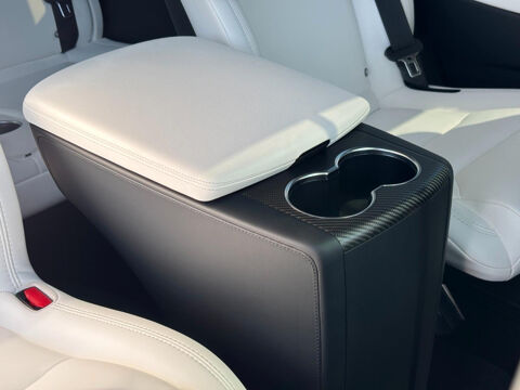 Model X MODEL X 100D - Dual Motor 2018 occasion 85600 Montaigu