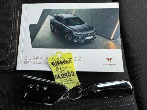 Formentor 1.4 e-HYBRID 245 ch DSG6 VZ 2022 occasion 85600 Montaigu