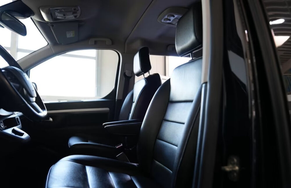 Traveller Standard 180ch Business 2019 occasion 85600 Montaigu