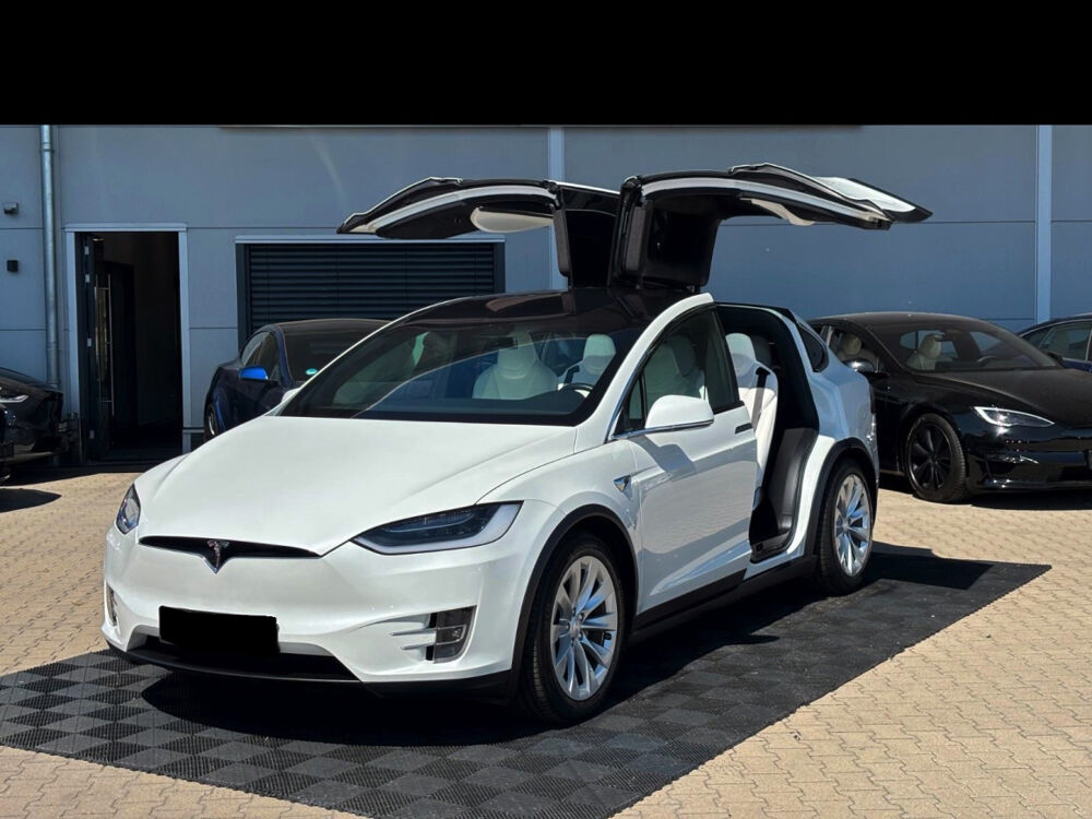 Model X MODEL X 100D - Dual Motor 2018 occasion 85600 Montaigu