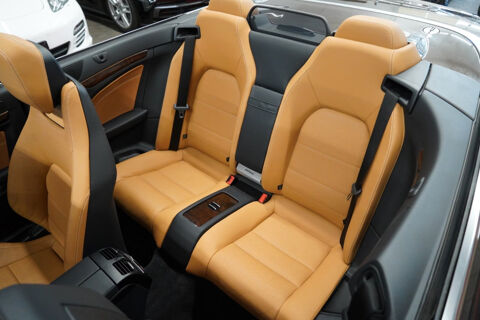 Classe E Cabriolet 500 Fascination A 2014 occasion 85600 Montaigu