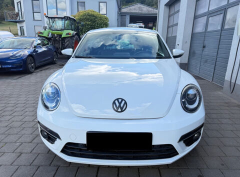 COCCINELLE II Coccinelle 2.0 TDI 150 Sport R-Line 2015 occasion 85600 Montaigu
