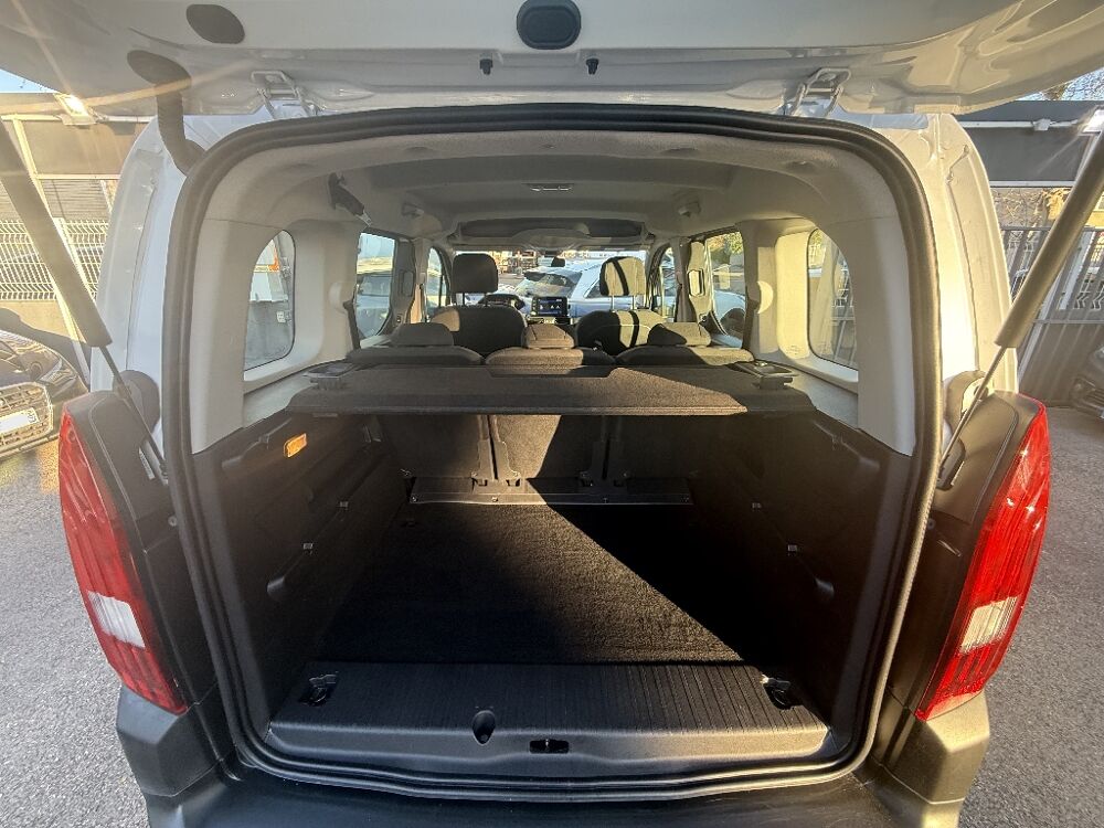 Rifter 1.2 PureTech 110 Active 2019 occasion 30000 N&icirc;mes