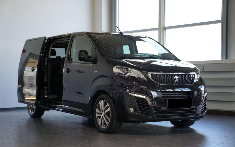 Traveller Standard 180ch Business 2019 occasion 85600 Montaigu