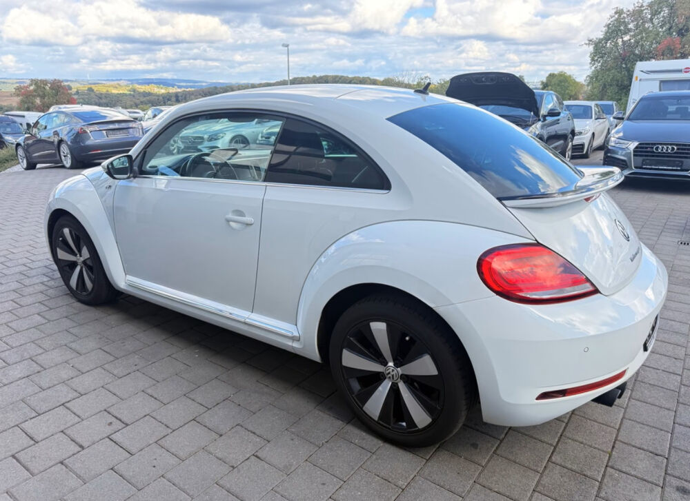 COCCINELLE II Coccinelle 2.0 TDI 150 Sport R-Line 2015 occasion 85600 Montaigu