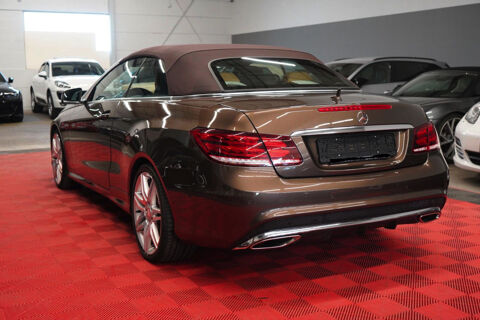 Classe E Cabriolet 500 Fascination A 2014 occasion 85600 Montaigu