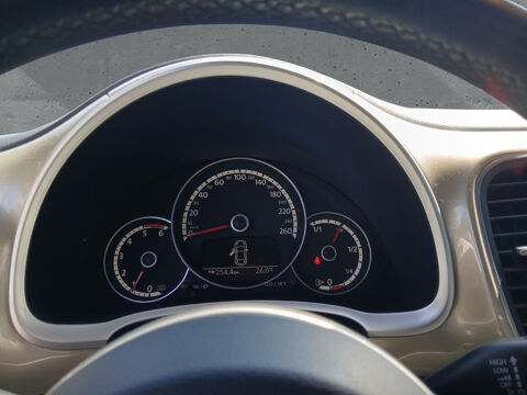 COCCINELLE II Coccinelle 2.0 TDI 140 FAP Art DSG6 2014 occasion 85600 Montaigu