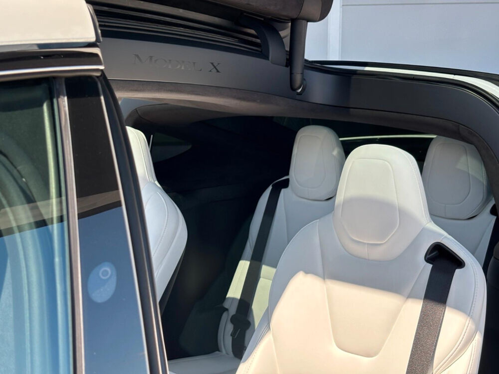 Model X MODEL X 100D - Dual Motor 2018 occasion 85600 Montaigu
