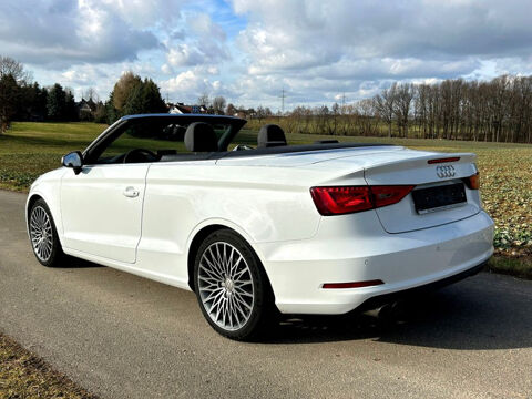 Golf A3 Cabriolet 1.4 TFSI 140 Ambition 2014 occasion 85170 Le Poiré-sur-Vie