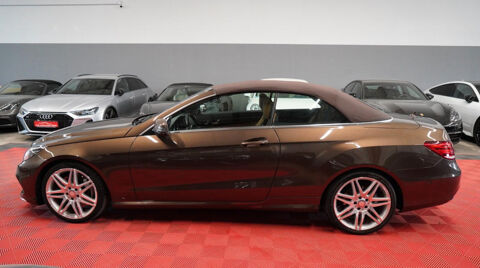 Classe E Cabriolet 500 Fascination A 2014 occasion 85600 Montaigu