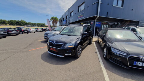 Yeti 2.0 TDI 150 SCR Green Tec DSG6 4x4 Drive 2017 occasion 66750 Saint-Cyprien
