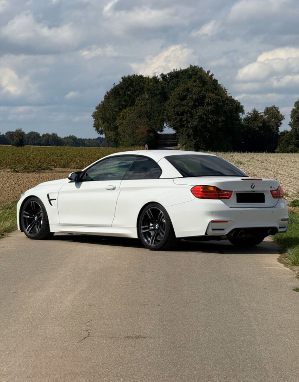 M4 Cabriolet 431 ch M DKG7 2015 occasion 85600 Montaigu