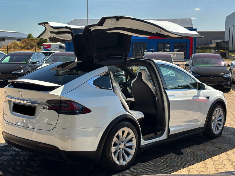 Model X MODEL X 100D - Dual Motor 2018 occasion 85600 Montaigu