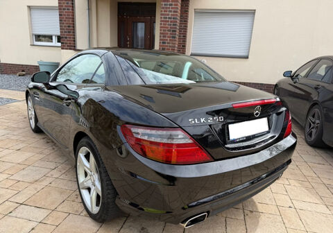 SLK 250 AMG 2013 occasion 85600 Montaigu