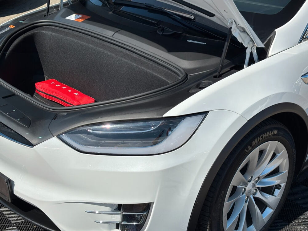 Model X MODEL X 100D - Dual Motor 2018 occasion 85600 Montaigu