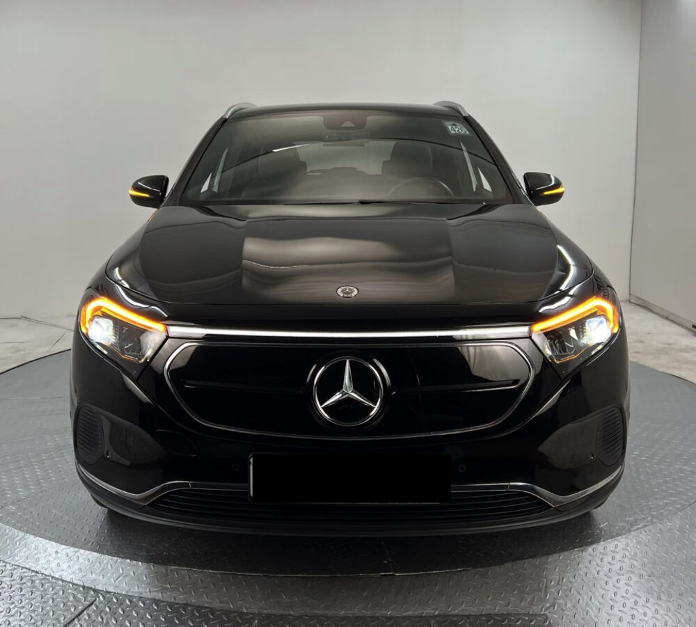 EQA 250+ Business Line 2023 occasion 85600 Montaigu