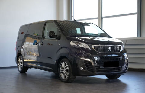 Traveller Standard 180ch Business 2019 occasion 85600 Montaigu