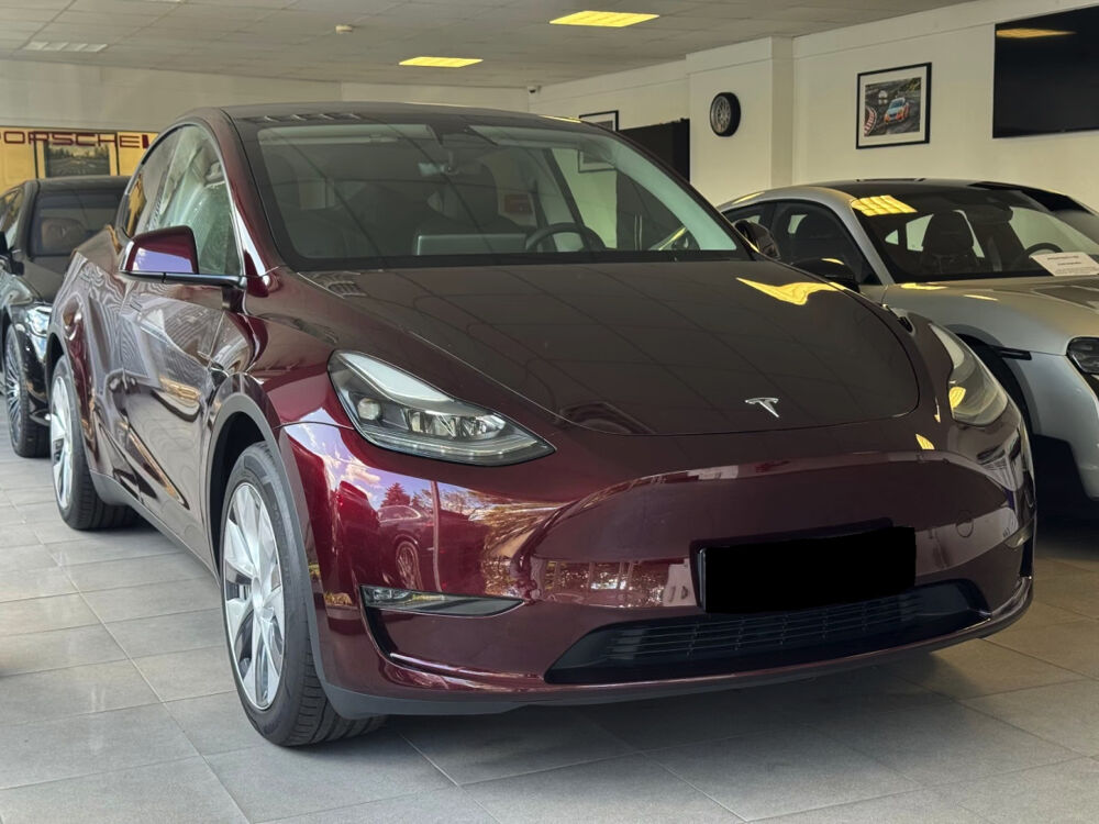Model Y MODEL Y Grande Autonomie Dual Motor AWD 2024 occasion 85600 Montaigu