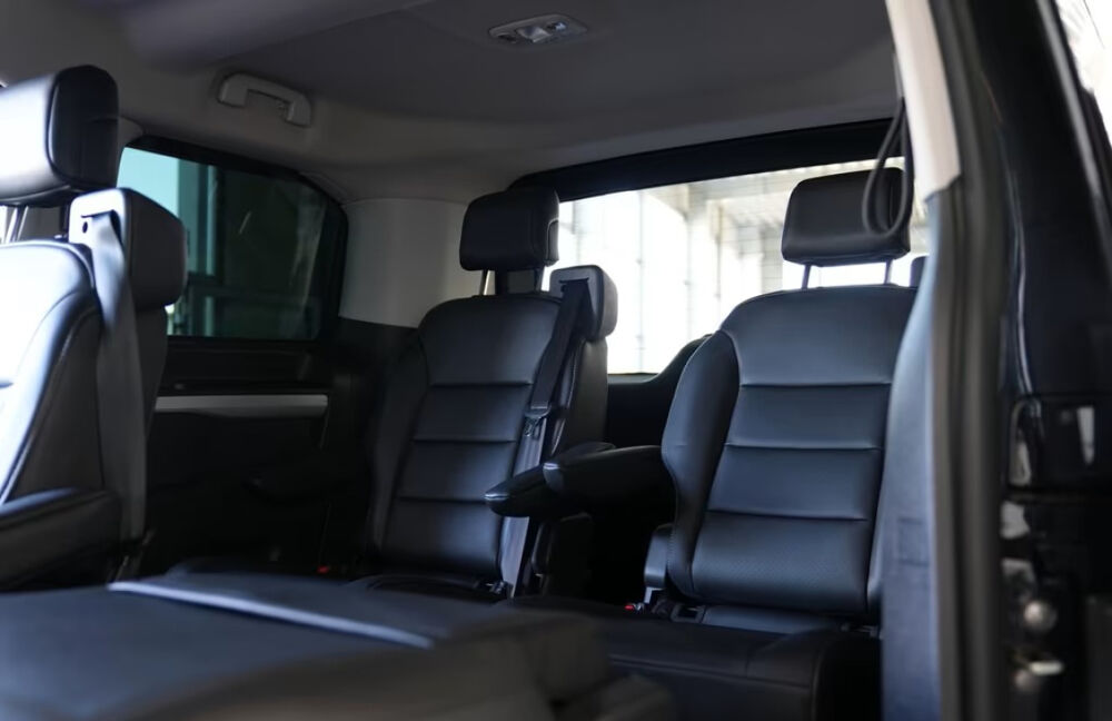 Traveller Standard 180ch Business 2019 occasion 85600 Montaigu