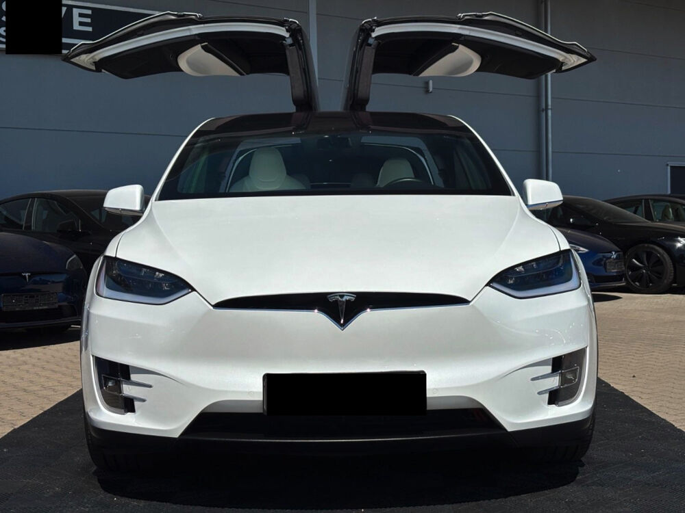 Model X MODEL X 100D - Dual Motor 2018 occasion 85600 Montaigu