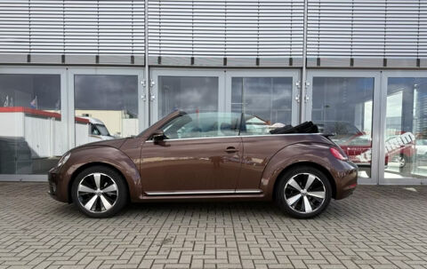 COCCINELLE II Coccinelle Cabriolet 1.4 TSI Allstar DSG7 2016 occasion 85600 Montaigu