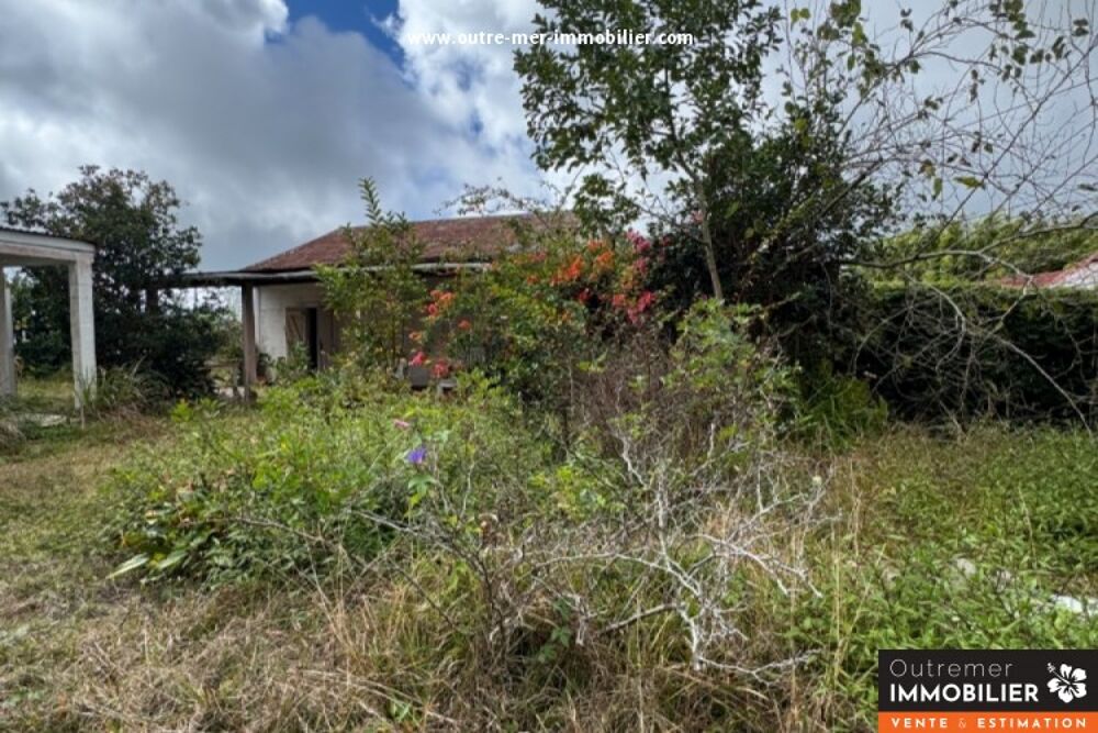 Vente Terrain ERRAIN AU BRÛLÉ ? EMPLACEMENT À FORT POTENTIEL Saint-denis