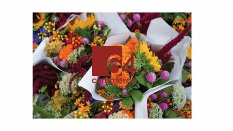 FONDS DE COMMERCE &agrave; CEDER 255000 40220 Tarnos