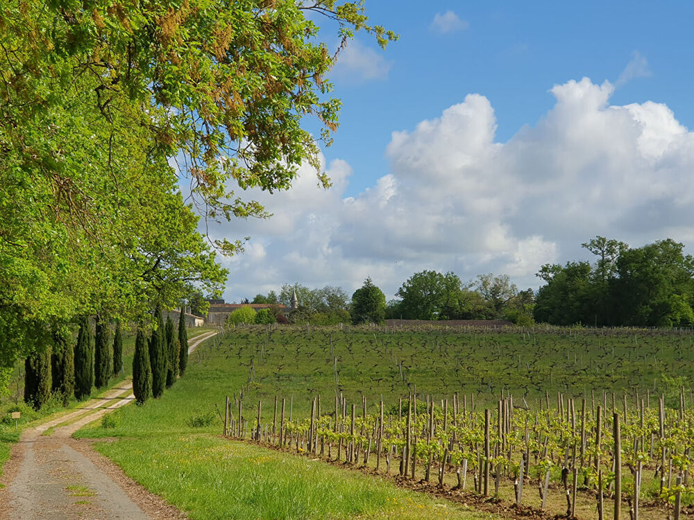   Château à VENDRE Yvrac