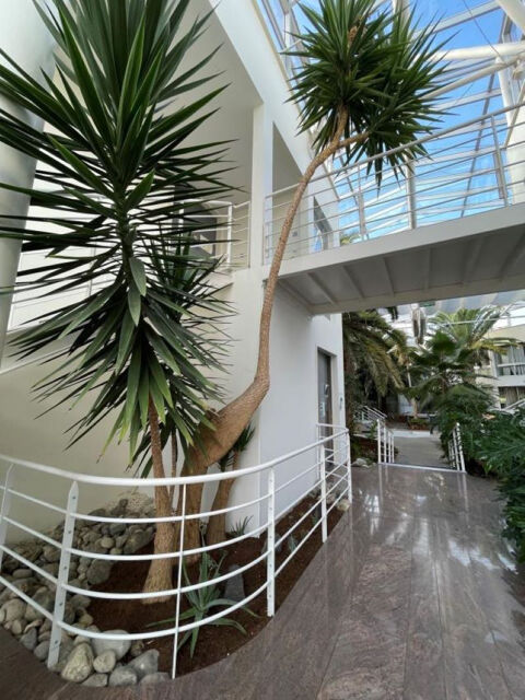   Bureaux à VENDRE 