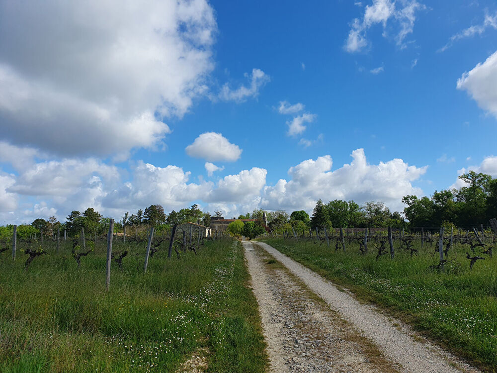   Château à VENDRE Yvrac