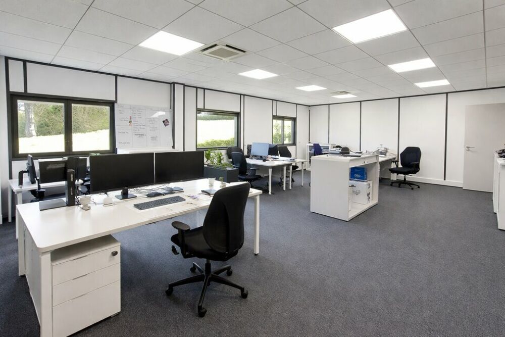   BUREAUX LUMINEUX à LOUER Vaulx milieu
